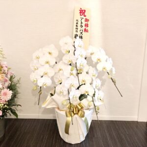 おかげさまで、もうすぐ移転3周年を迎えます