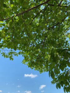 クレーターが酷くなる紫外線は、部屋の中に入ってきています