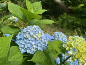 ロゼルナから、ららぽーと横浜までは徒歩10分です